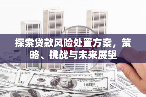 博望探索贷款风险处置方案，策略、挑战与未来展望