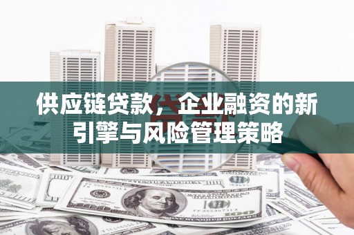 博望供应链贷款，企业融资的新引擎与风险管理策略