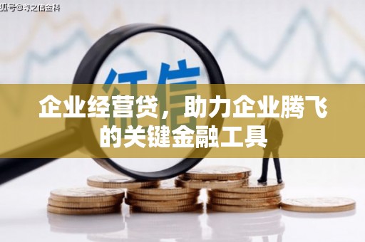 博望企业经营贷，助力企业腾飞的关键金融工具