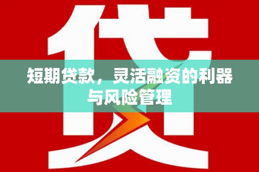博望短期贷款，灵活融资的利器与风险管理