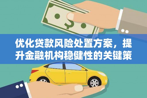 博望优化贷款风险处置方案，提升金融机构稳健性的关键策略