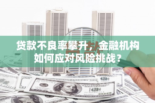 博望贷款不良率攀升，金融机构如何应对风险挑战？