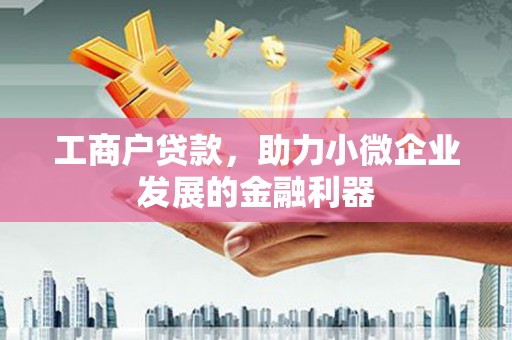 博望工商户贷款，助力小微企业发展的金融利器