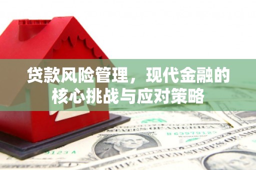 博望贷款风险管理，现代金融的核心挑战与应对策略