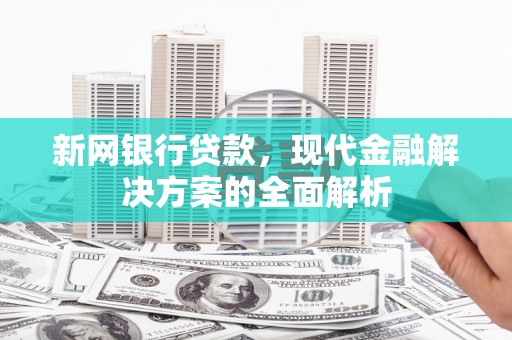 博望新网银行贷款，现代金融解决方案的全面解析