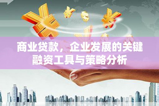 博望商业贷款，企业发展的关键融资工具与策略分析