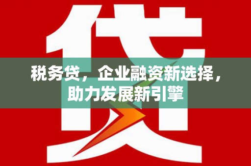 博望税务贷，企业融资新选择，助力发展新引擎