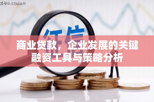 博望商业贷款，企业发展的关键融资工具与策略分析