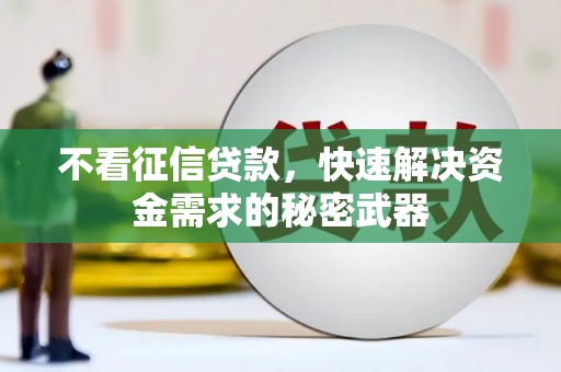 博望不看征信贷款，快速解决资金需求的秘密武器