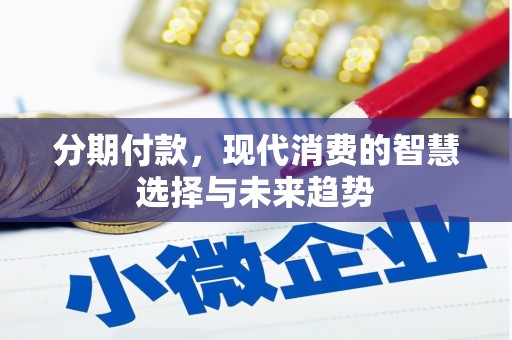 博望分期付款，现代消费的智慧选择与未来趋势
