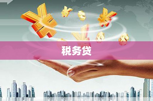 博望税务贷