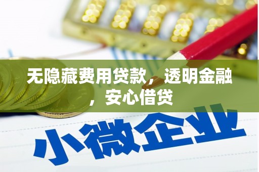 博望无隐藏费用贷款，透明金融，安心借贷