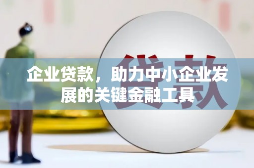 博望企业贷款，助力中小企业发展的关键金融工具