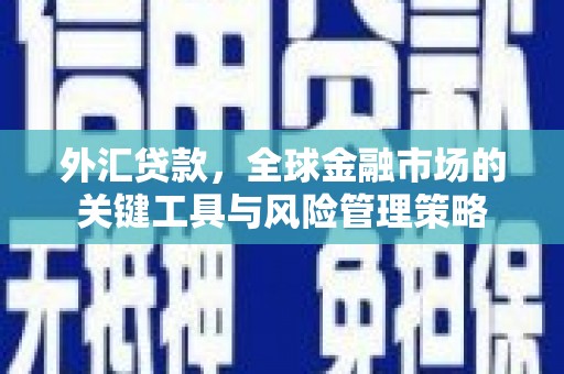 博望外汇贷款，全球金融市场的关键工具与风险管理策略