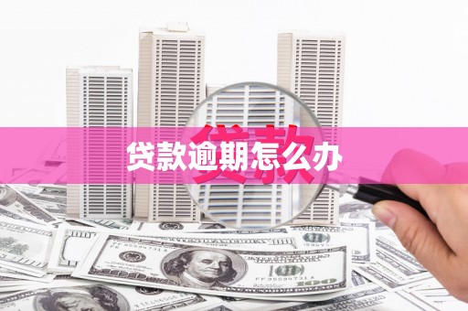 博望贷款逾期怎么办