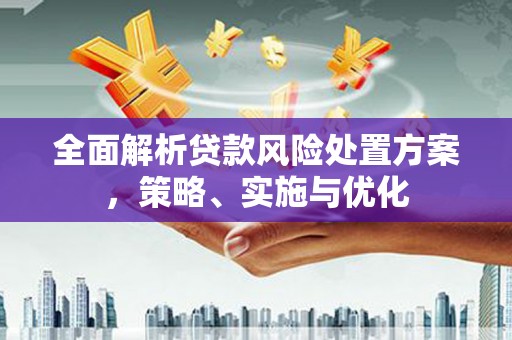 博望全面解析贷款风险处置方案，策略、实施与优化