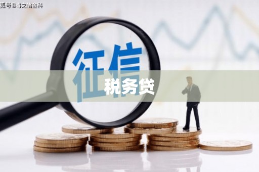 博望税务贷
