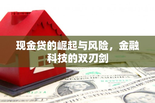 博望现金贷的崛起与风险，金融科技的双刃剑