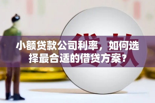 博望小额贷款公司利率，如何选择最合适的借贷方案？