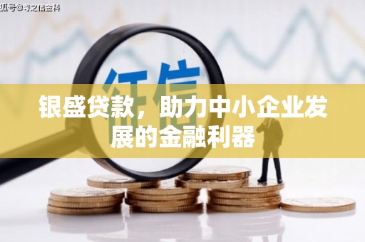 博望银盛贷款，助力中小企业发展的金融利器