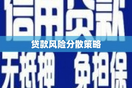 博望贷款风险分散策略