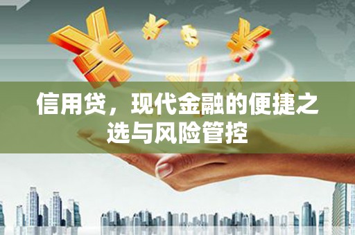 博望信用贷，现代金融的便捷之选与风险管控