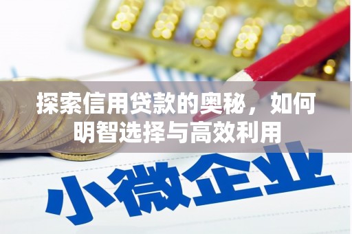 博望探索信用贷款的奥秘，如何明智选择与高效利用