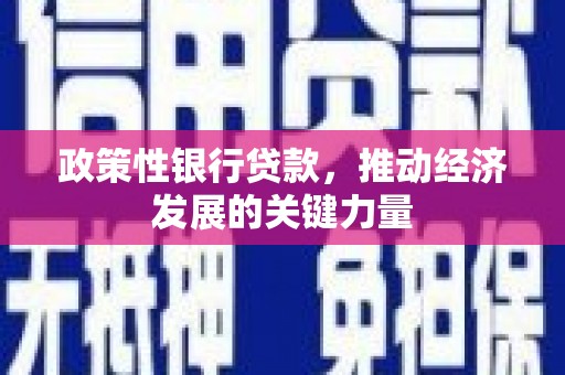 博望政策性银行贷款，推动经济发展的关键力量