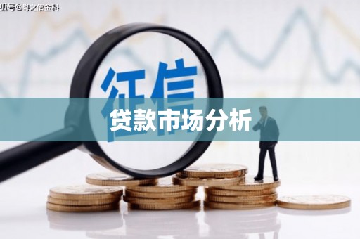 博望贷款市场分析