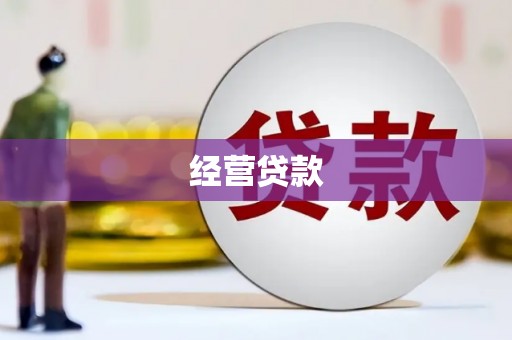 博望经营贷款