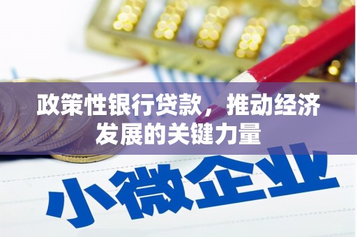 博望政策性银行贷款，推动经济发展的关键力量