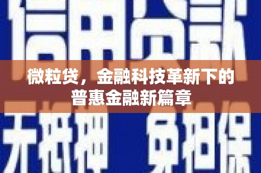 博望微粒贷，金融科技革新下的普惠金融新篇章