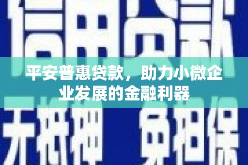 博望平安普惠贷款，助力小微企业发展的金融利器