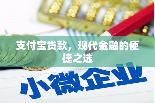博望支付宝贷款，现代金融的便捷之选