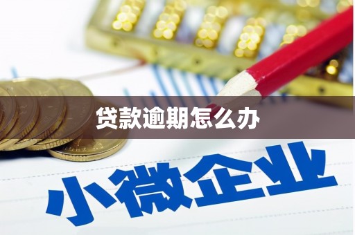 博望贷款逾期怎么办