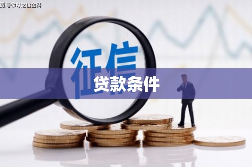 博望贷款条件