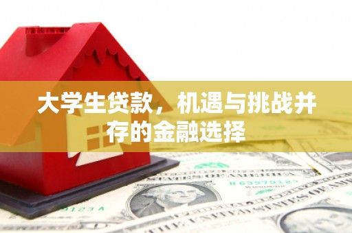 博望大学生贷款，机遇与挑战并存的金融选择