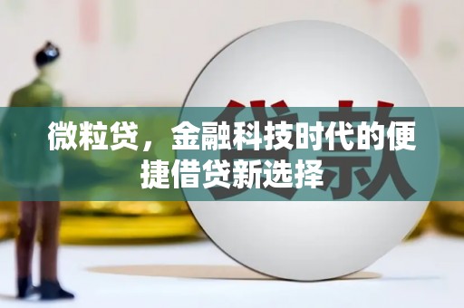 博望微粒贷，金融科技时代的便捷借贷新选择