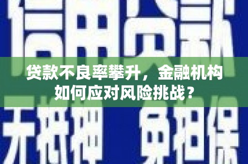 博望贷款不良率攀升，金融机构如何应对风险挑战？
