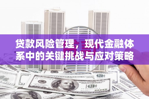 博望贷款风险管理，现代金融体系中的关键挑战与应对策略