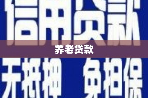 博望养老贷款