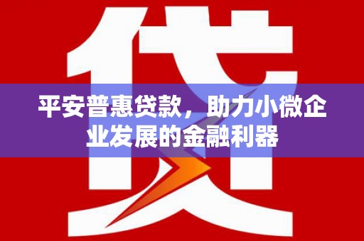 博望平安普惠贷款，助力小微企业发展的金融利器
