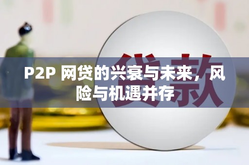 博望P2P 网贷的兴衰与未来，风险与机遇并存