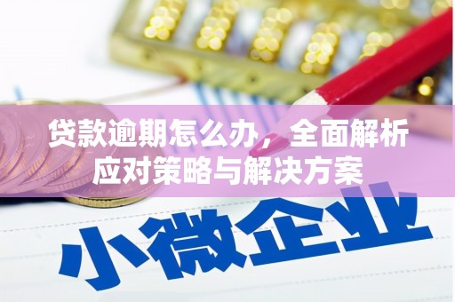 博望贷款逾期怎么办，全面解析应对策略与解决方案