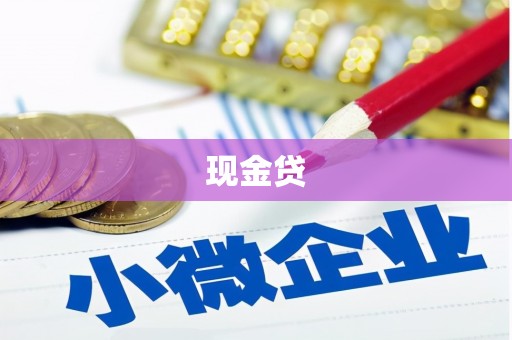 博望现金贷